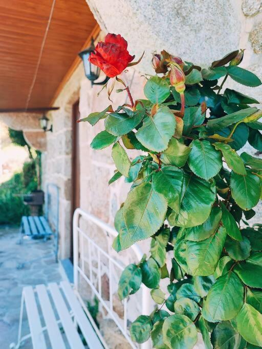 Casa Cabreiros De Baixo Villa Melgaço Dış mekan fotoğraf